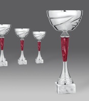 puchary, puchar 2414/1