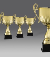 puchary, puchar 4336/3